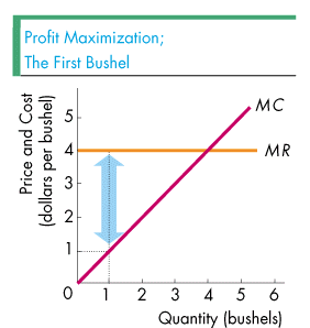 Revenue Curve